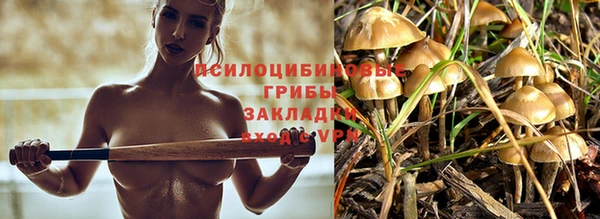 марки lsd Сосновка
