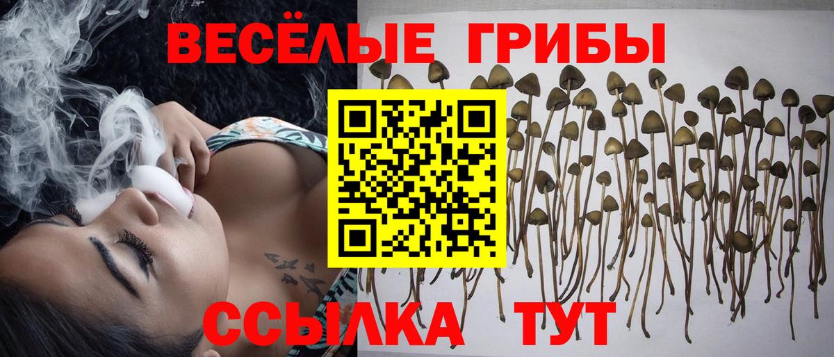 Галлюциногенные грибы мухоморы Тобольск